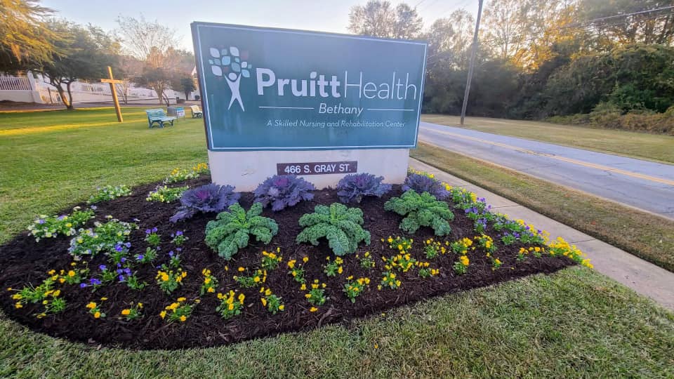 Georgia Lawn Care lawn, landscape, and land services